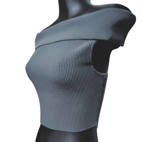 Babaton ARITZIA | Charcoal Off-Shoulder Ribbed Cropped Bodycon Top | Size Small - Picture 8 of 9